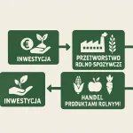 Na co zwrócić uwagę przy wyborze klimatyzacji?